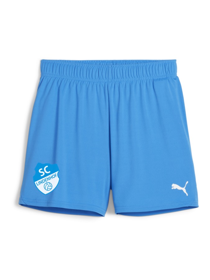 PUMA teamGOAL Handballshorts Damen
