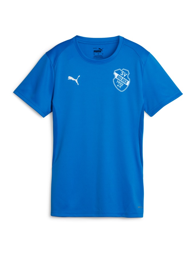 PUMA teamGOAL Trikot Damen
