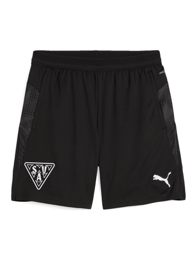 PUMA teamCUP Training Shorts