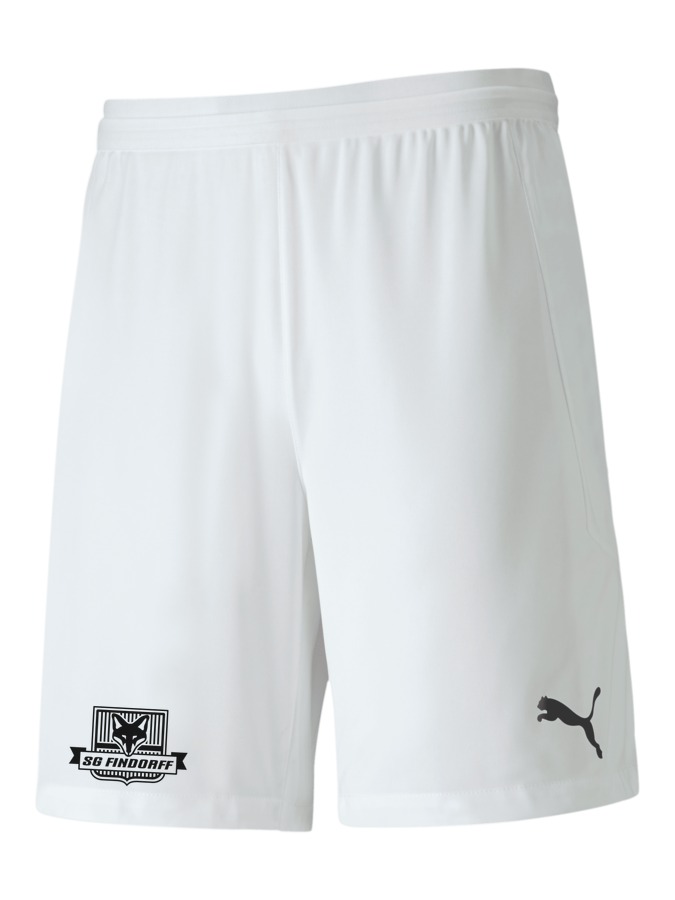 PUMA teamFINAL 21 Knit Shorts