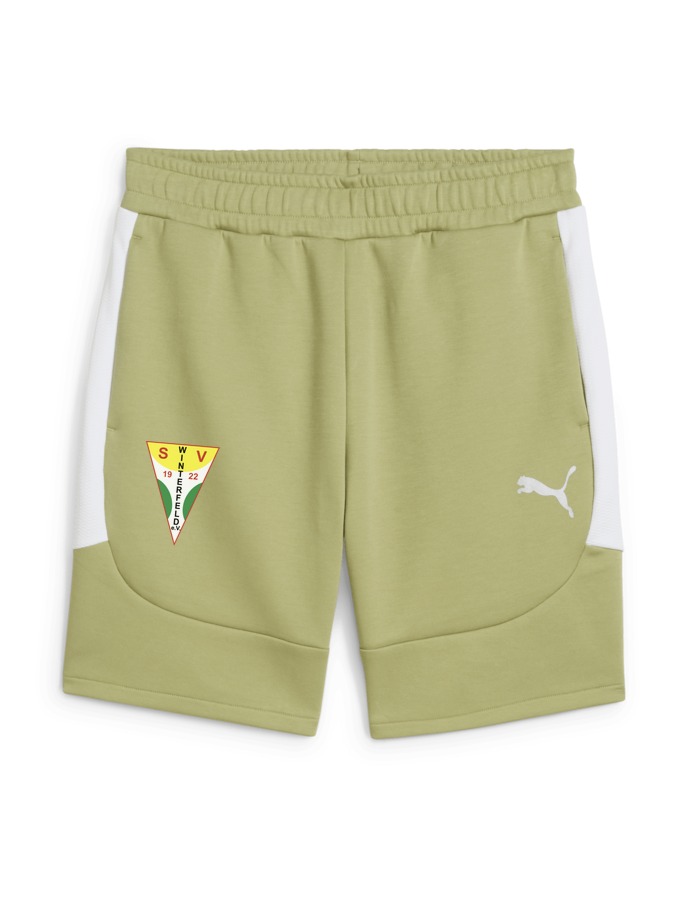 PUMA teamEVOSTRIPE Shorts