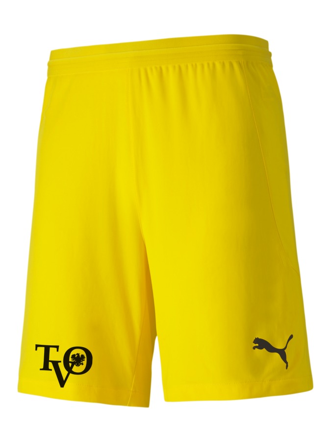 PUMA teamFINAL 21 Knit Shorts