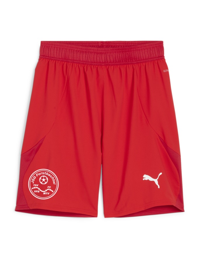PUMA teamFINAL Shorts