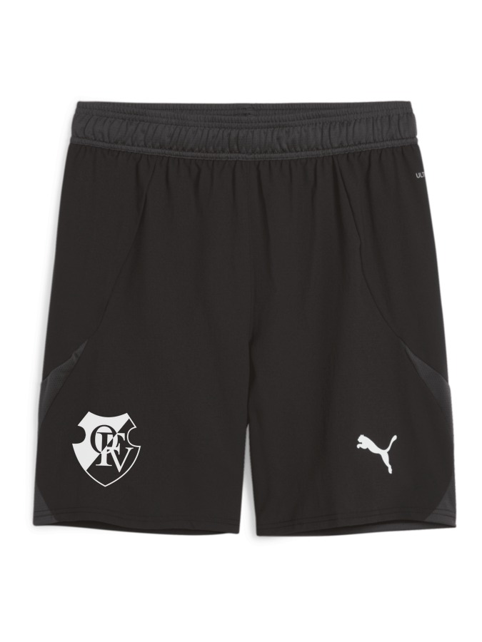 PUMA teamFINAL Shorts