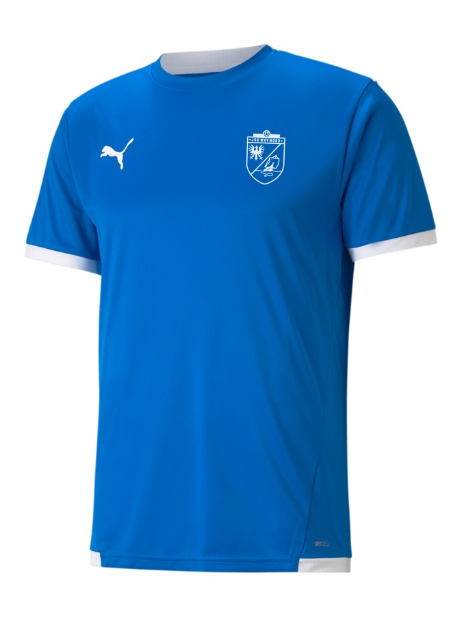 PUMA teamLIGA Trikot