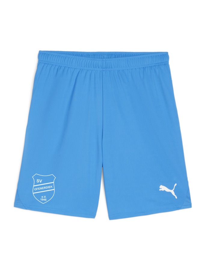 PUMA teamGOAL Shorts
