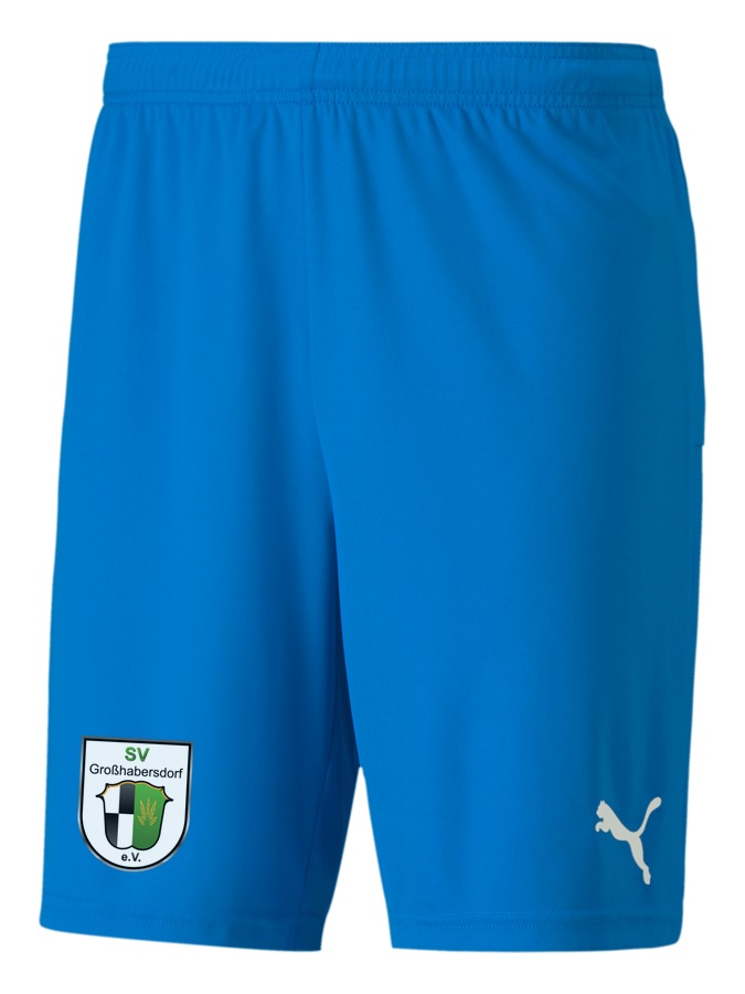 PUMA teamGOAL 23 Knit Shorts