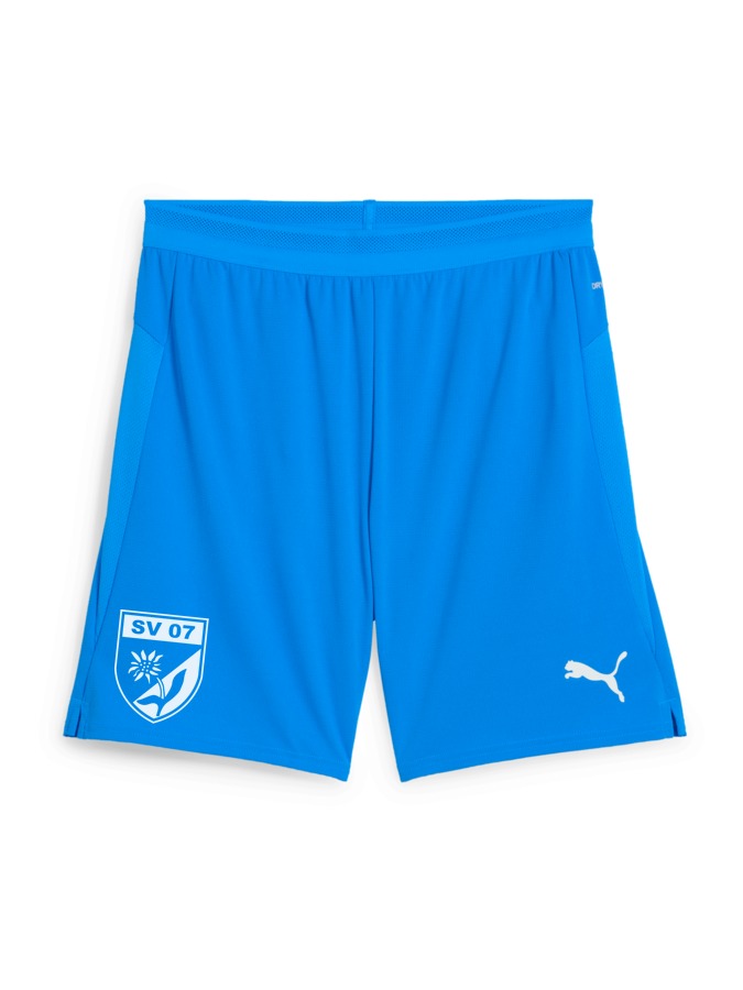 PUMA teamCUP Shorts