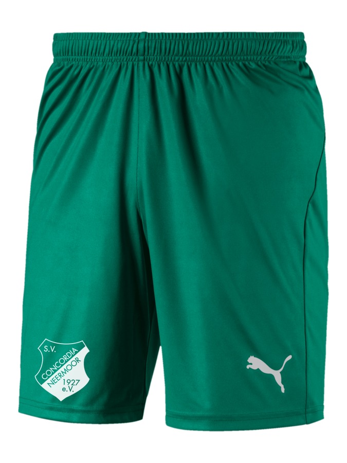 PUMA LIGA Shorts Core