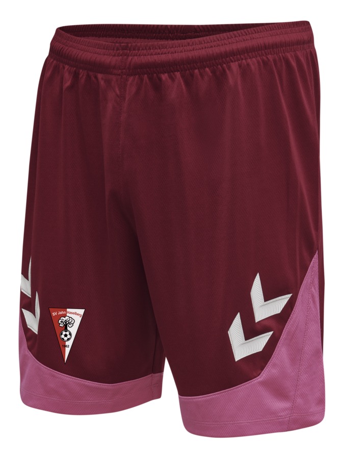 Hummel Lead Trainingsshorts