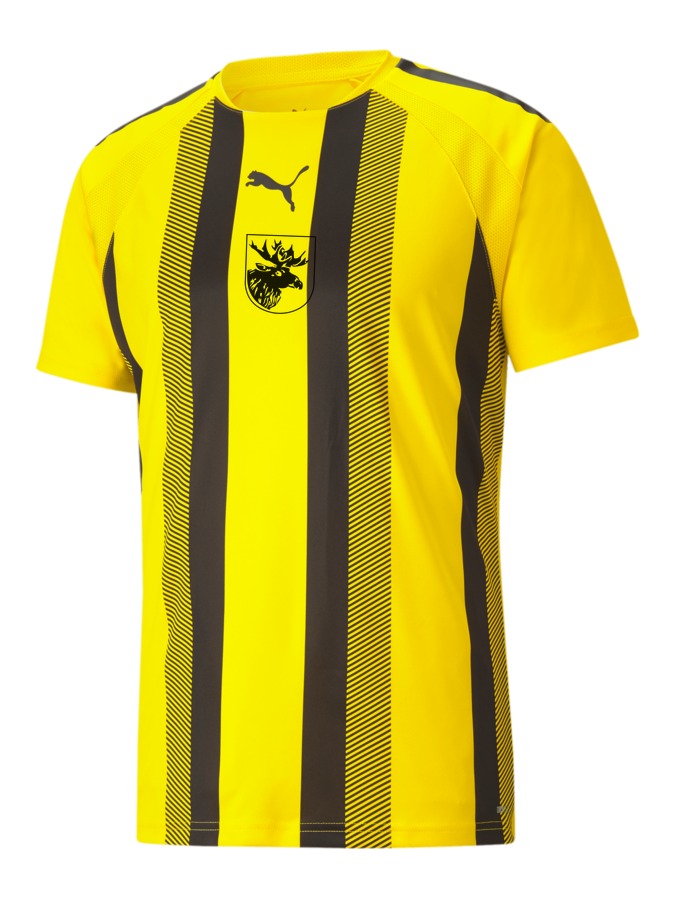 PUMA teamLIGA Striped Trikot