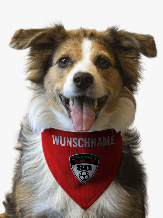 Hundehalstuch