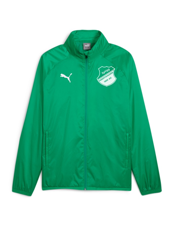 PUMA teamGOAL Allwetterjacke