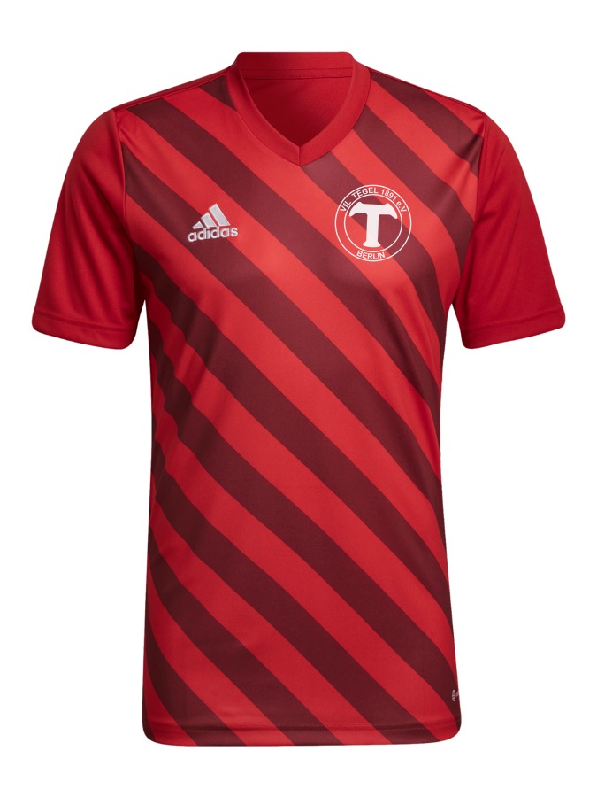 adidas Entrada 22 GFX Trikot