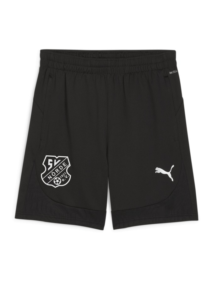 PUMA teamFINAL Training Shorts