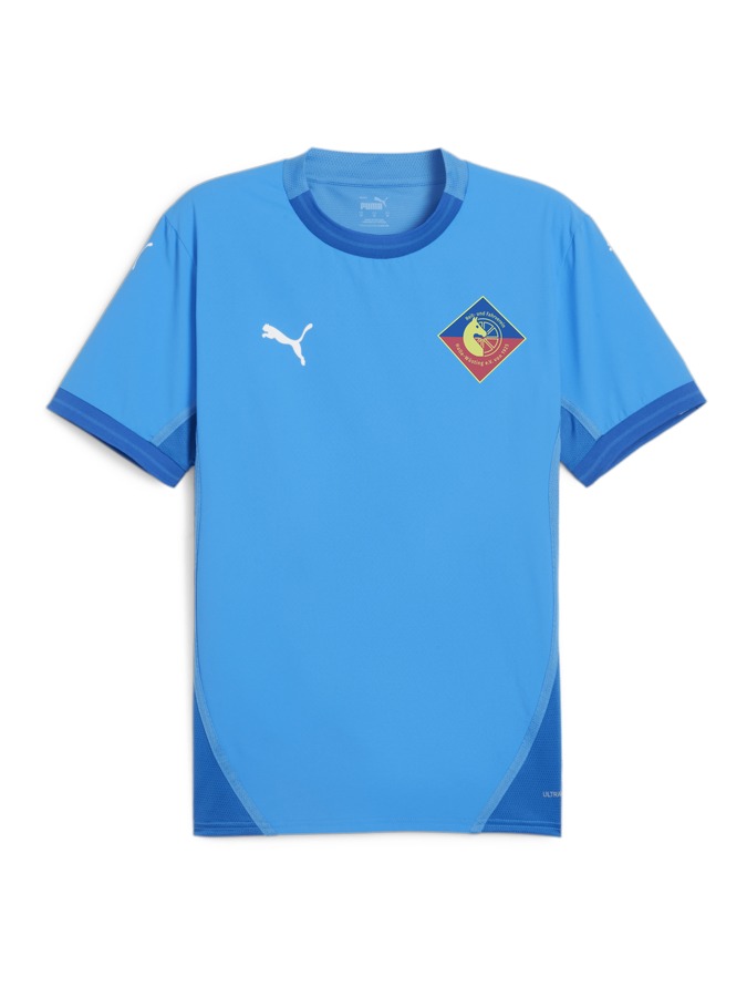 PUMA teamFINAL Trikot