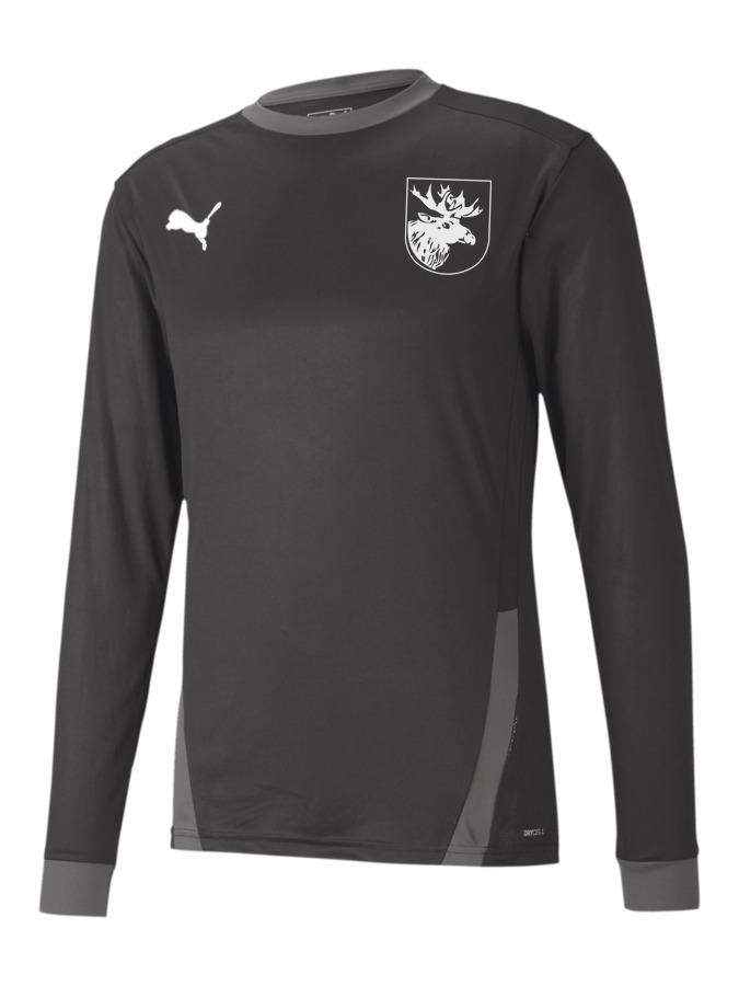 PUMA teamGOAL 23 Longsleeve