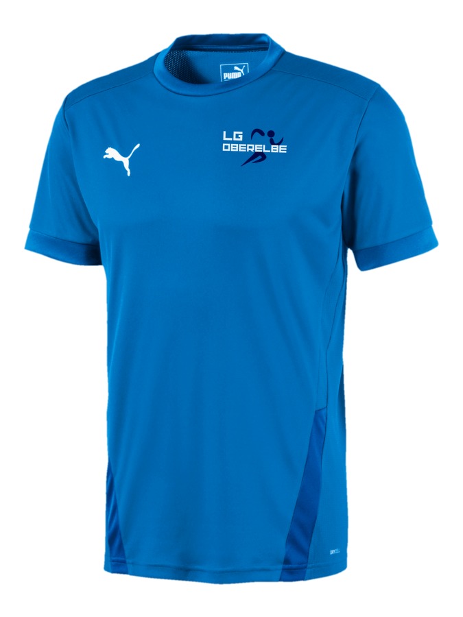 PUMA teamGOAL 23 Trikot