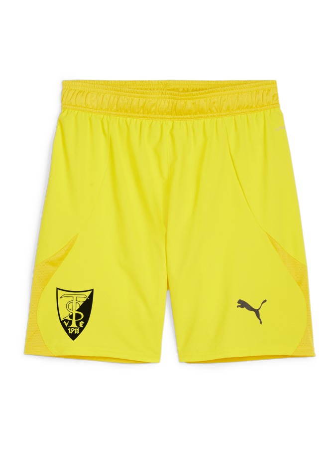 PUMA teamFINAL Shorts
