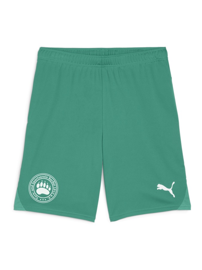 PUMA teamGOAL Shorts