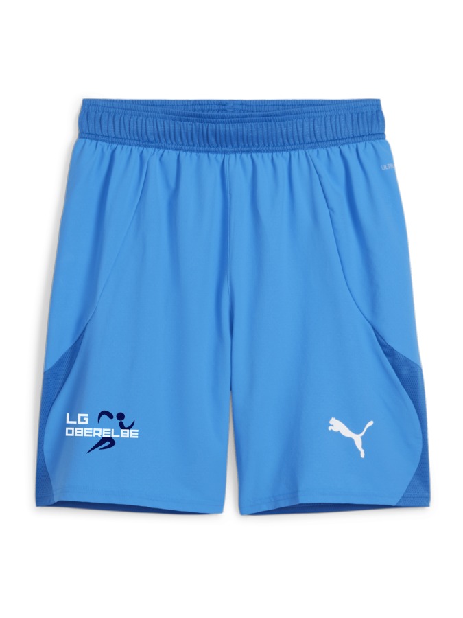 PUMA teamFINAL Shorts