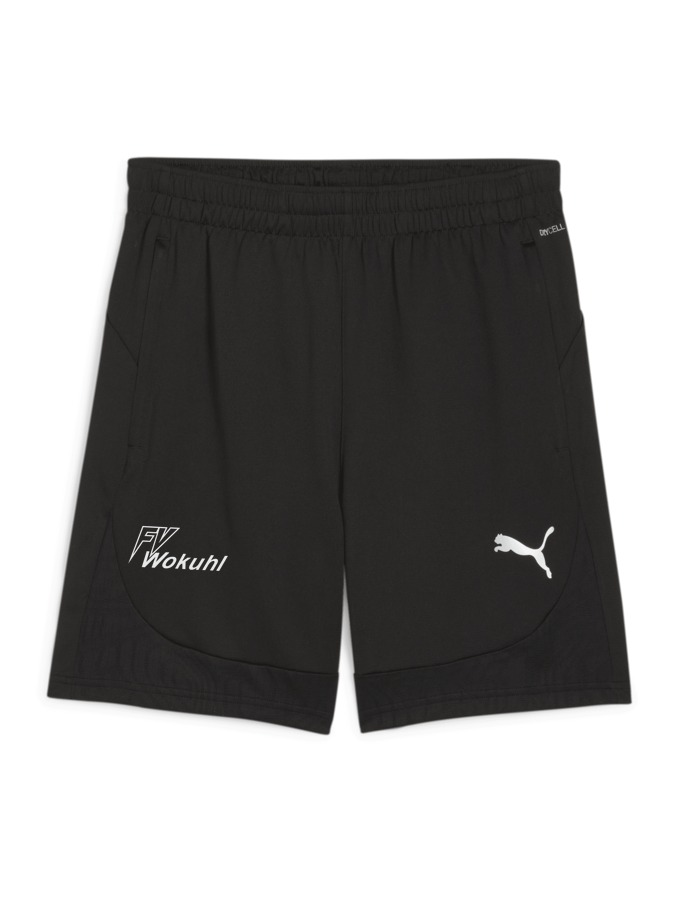 PUMA teamFINAL Training Shorts