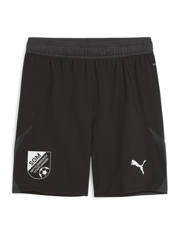 PUMA teamFINAL Shorts