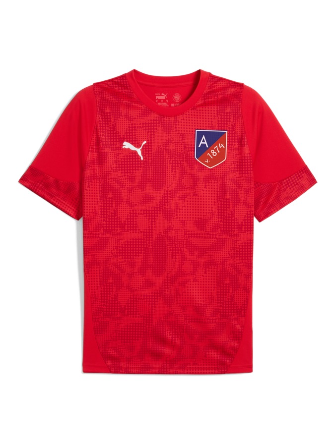 PUMA teamCUP Trainingsshirt