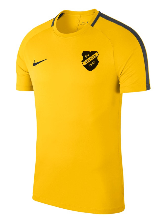 Nike Academy 18 Top