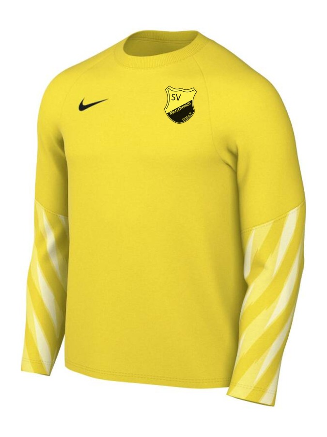 Nike Dri-FIT Park V Torwart Trikot Langarm