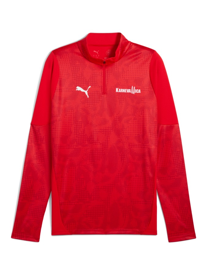 PUMA teamCUP Training 1/4-Zip-Top