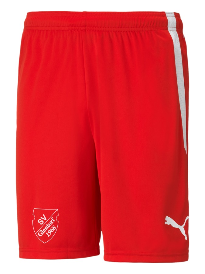 PUMA teamLIGA Shorts