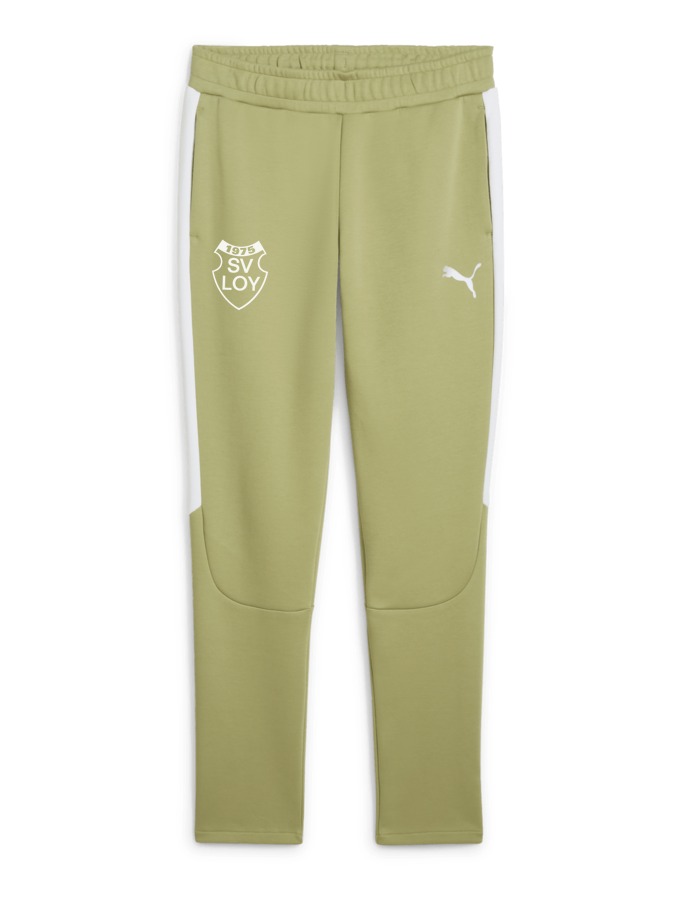 PUMA teamEVOSTRIPE Hose