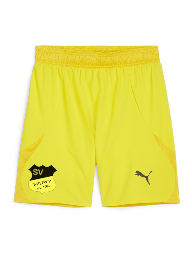 PUMA teamFINAL Shorts