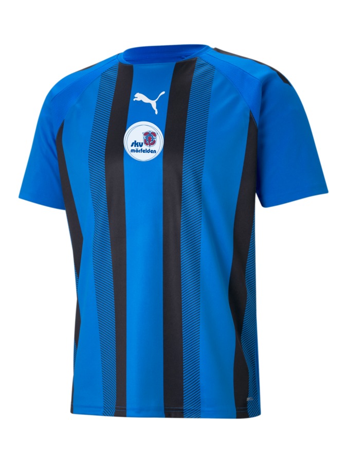 PUMA teamLIGA Striped Trikot