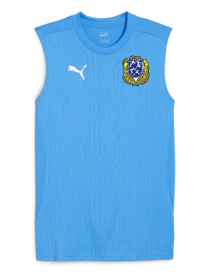 PUMA teamFINAL Trainingstanktop