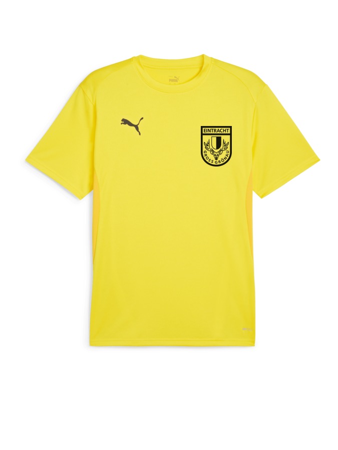 PUMA teamGOAL Trikot