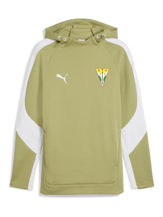 PUMA teamEVOSTRIPE Hoody
