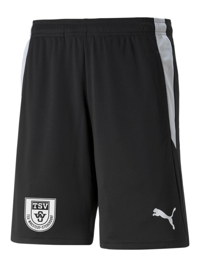 PUMA teamLIGA Referee Shorts