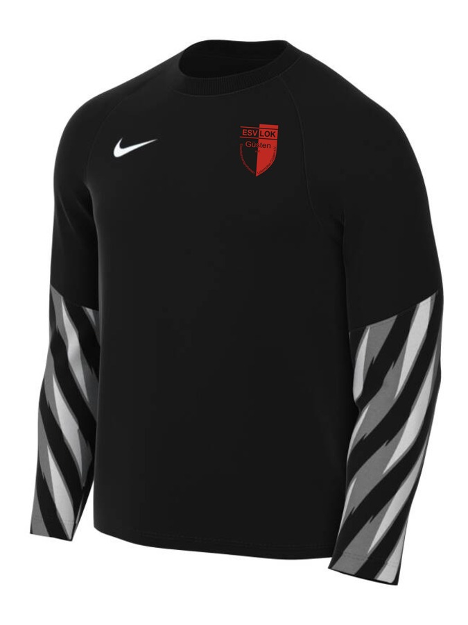 Nike Dri-FIT Park V Torwart Trikot Langarm