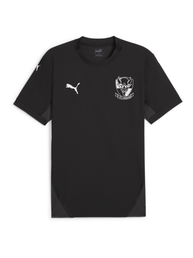 PUMA teamFINAL Trikot