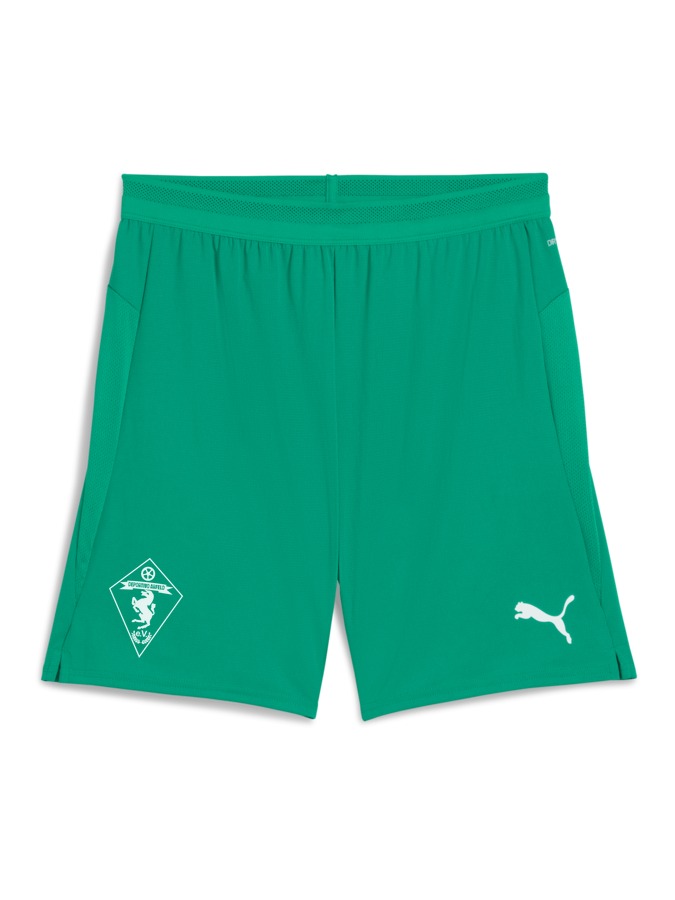 PUMA teamCUP Shorts