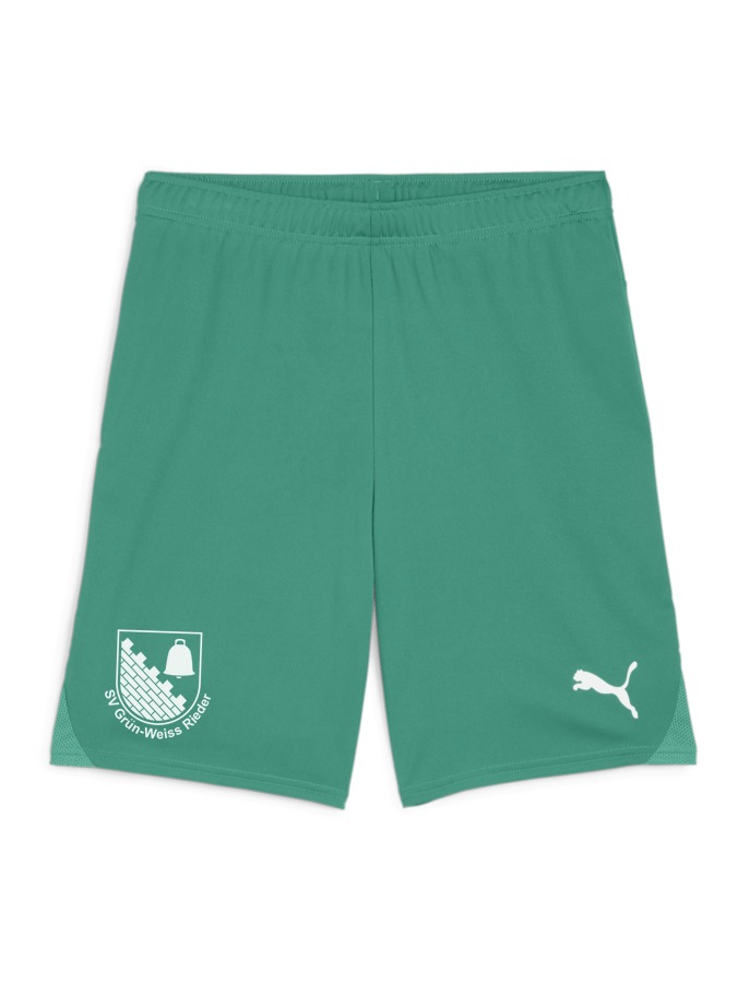 PUMA teamGOAL Shorts
