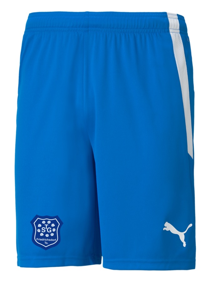 PUMA teamLIGA Shorts