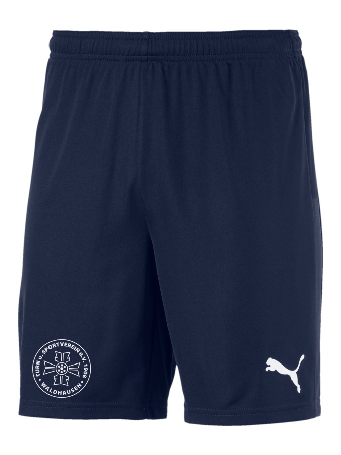 PUMA teamGOAL 23 Knit Shorts