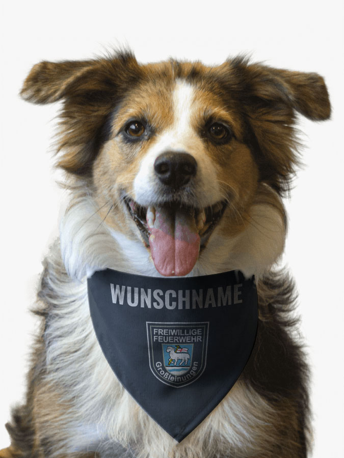 Hundehalstuch