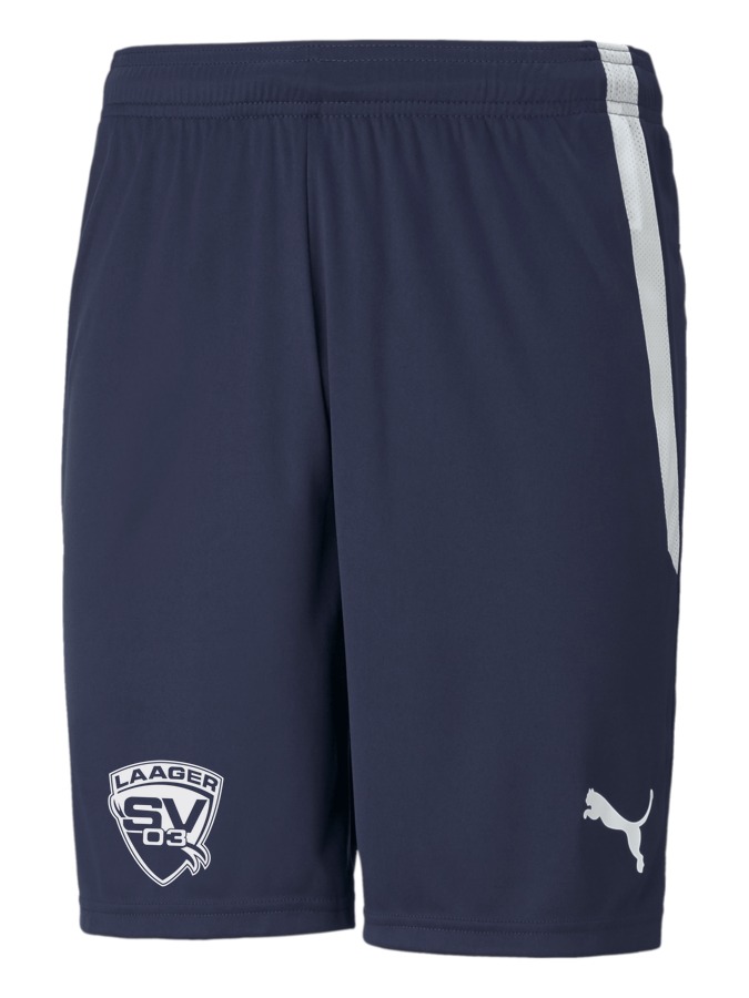 PUMA teamLIGA Shorts