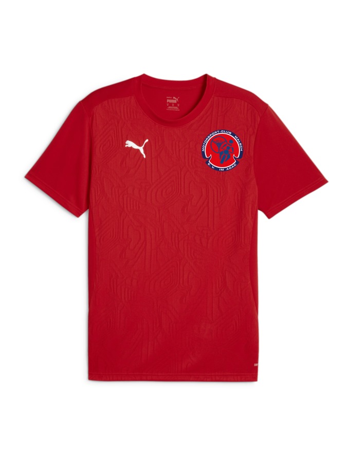 PUMA teamFINAL Trainingsshirt