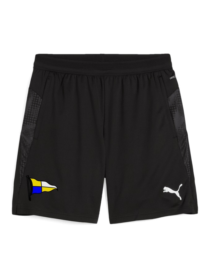 PUMA teamCUP Training Shorts