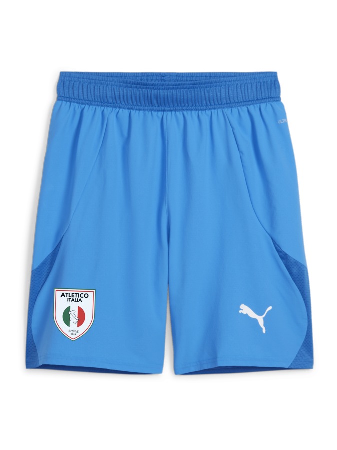 PUMA teamFINAL Shorts
